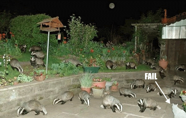 failbadgers.gif