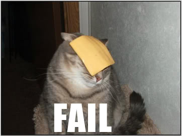 failcat.jpg