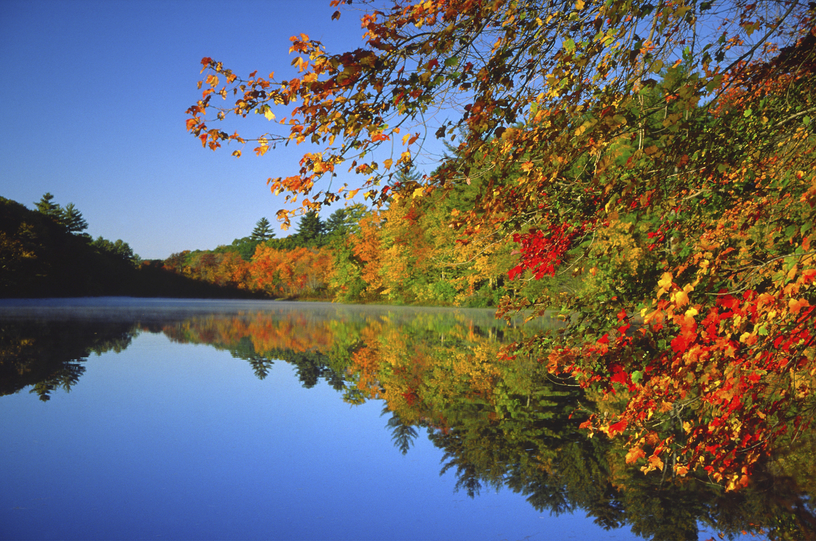 fall-leaves-water.jpg