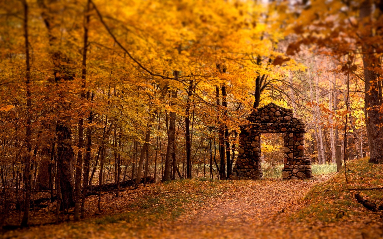 fall-wallpaper-20.jpg