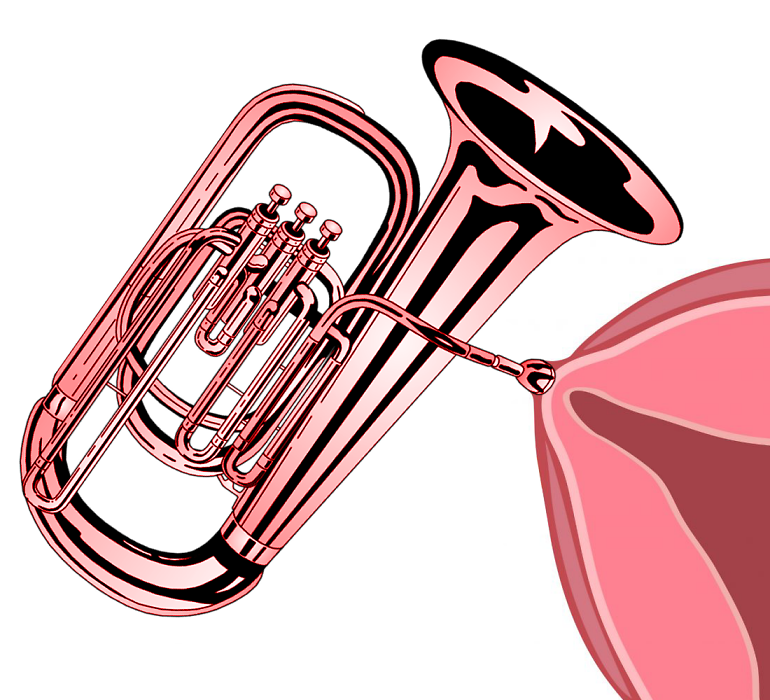 fallopian-tuba-png.4609685