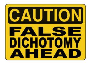FALSE-DICHOTOMY-copy-300x212.jpg