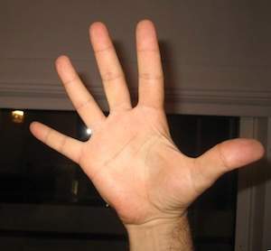 Fanned Frets Spread Hand vs Fork  - 1.jpeg