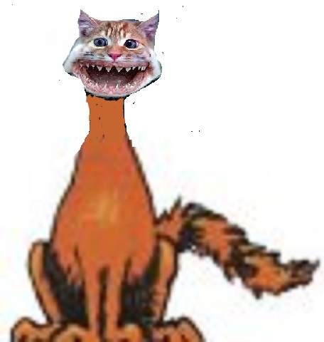 fat freddy.jpg
