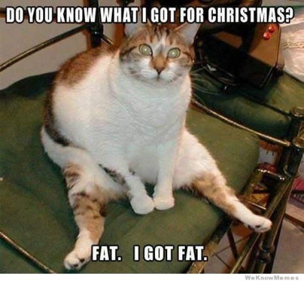 fatforchristmas.jpg