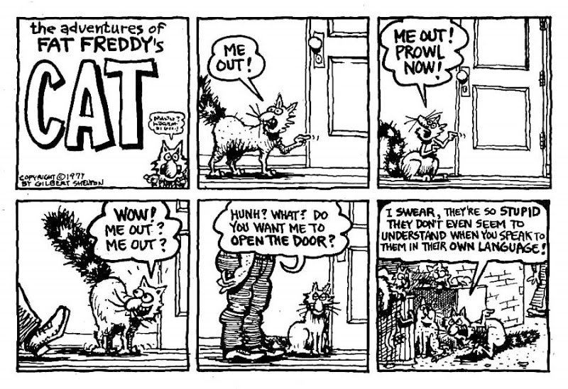 fatfreddyscat4_me-out.jpg