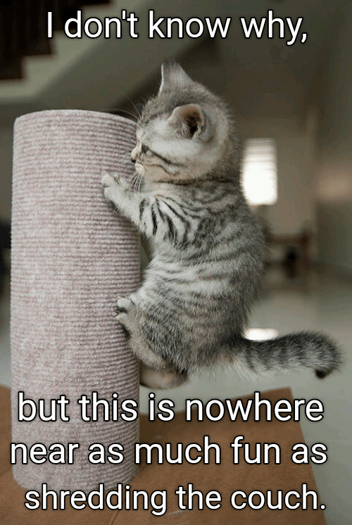 FB705919-A4F5-47D9-A9B5-4236A61FA5AE.png