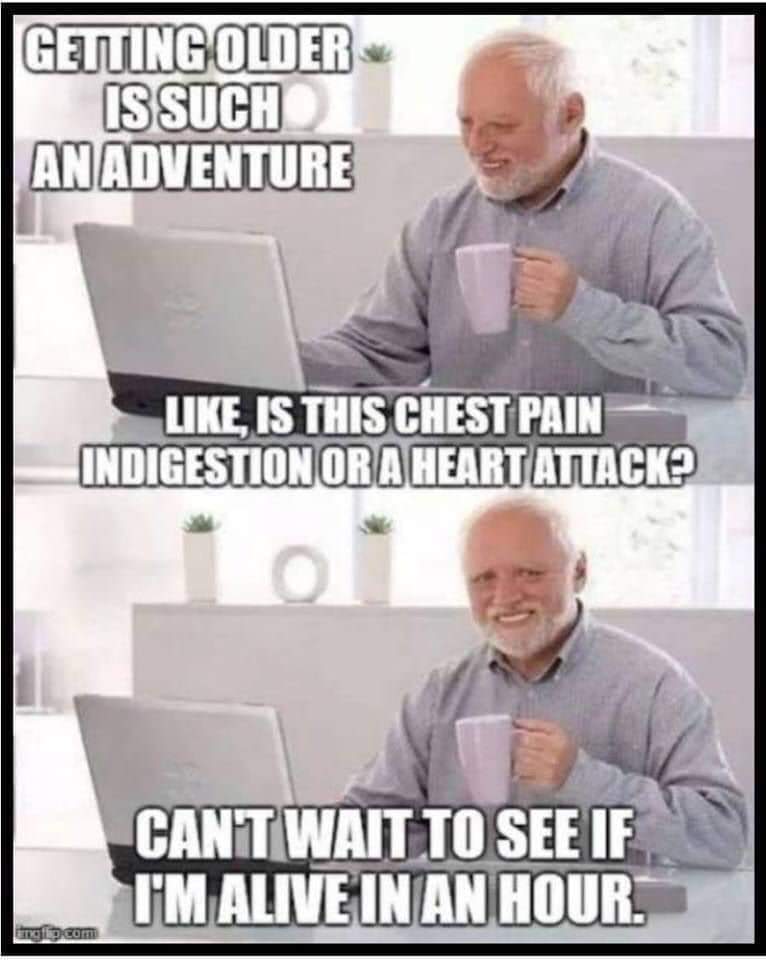 FB_IMG_1556942807664.jpg