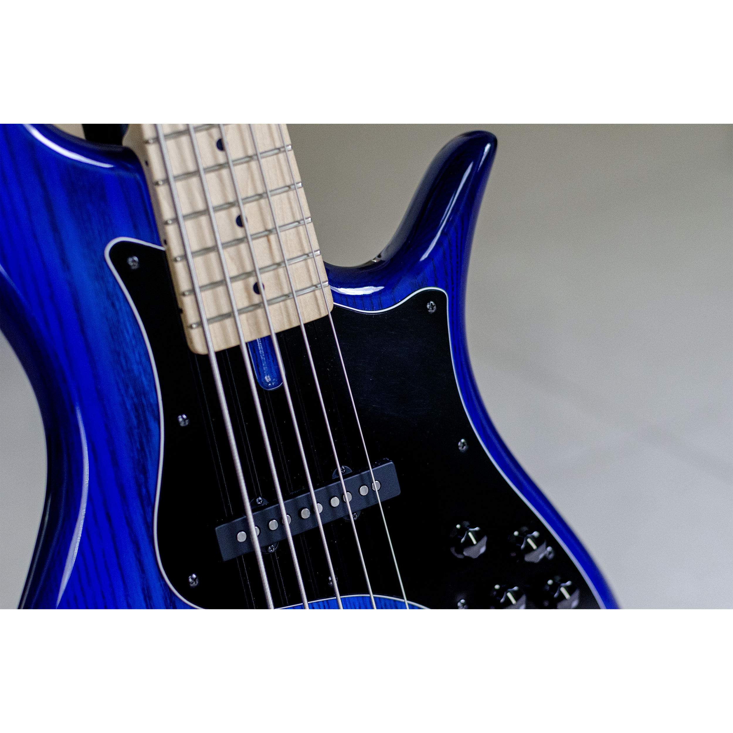 fbass-blue-7.jpg