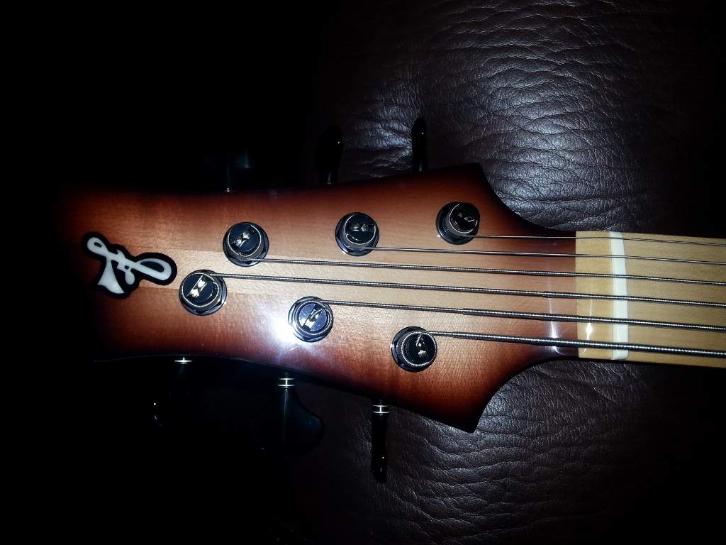 fbass bn6 Neck (1024x768).jpg