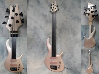 fbass_fretless.jpg