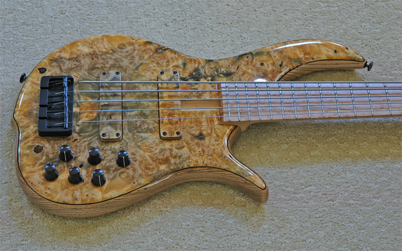 FBassBody01W.jpg