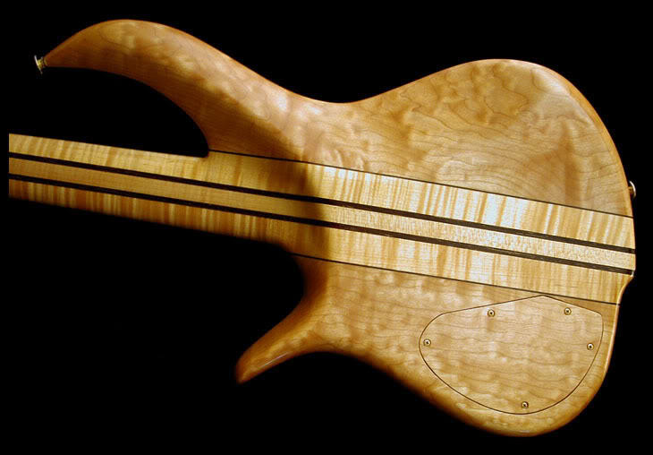 fbasscustom_back.jpg