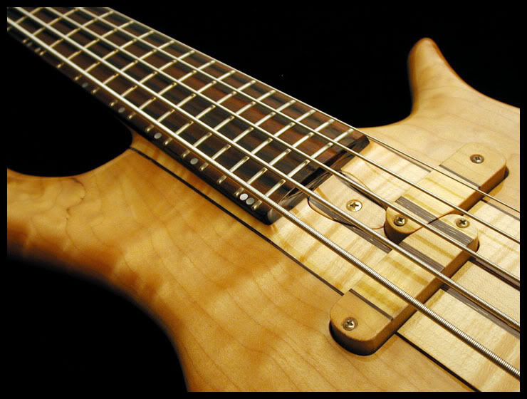 fbasscustom_pickup.jpg