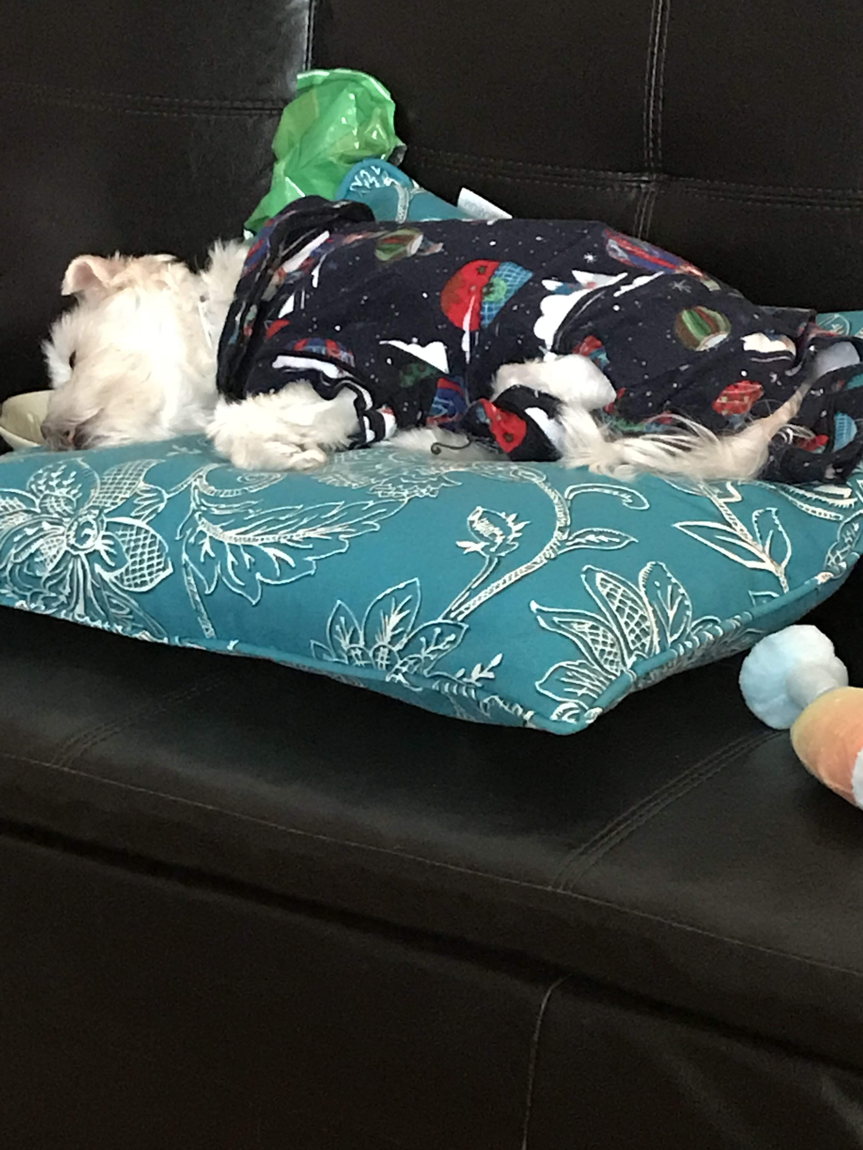 FD170630-2DE0-4924-8A20-E73C4518E219.jpeg