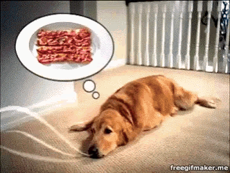 FD1A79A4-C526-4D77-AD3B-E5BB6AA73F0D.gif