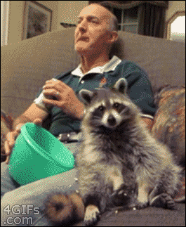 FD67420E-712D-4A33-8FFA-DF454F0931BA.gif