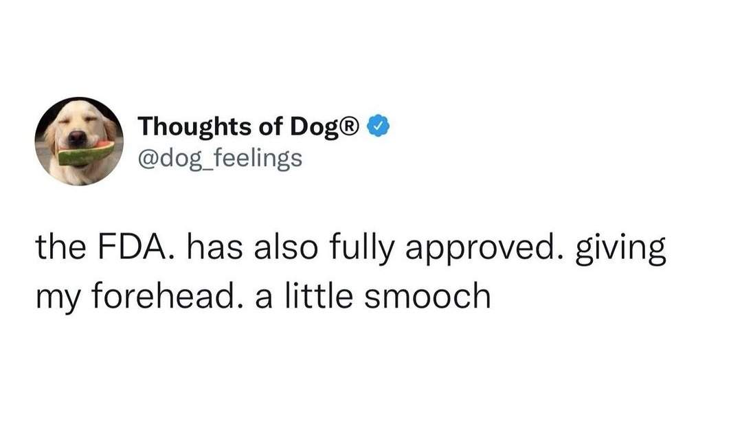 fda dog smooch.jpg