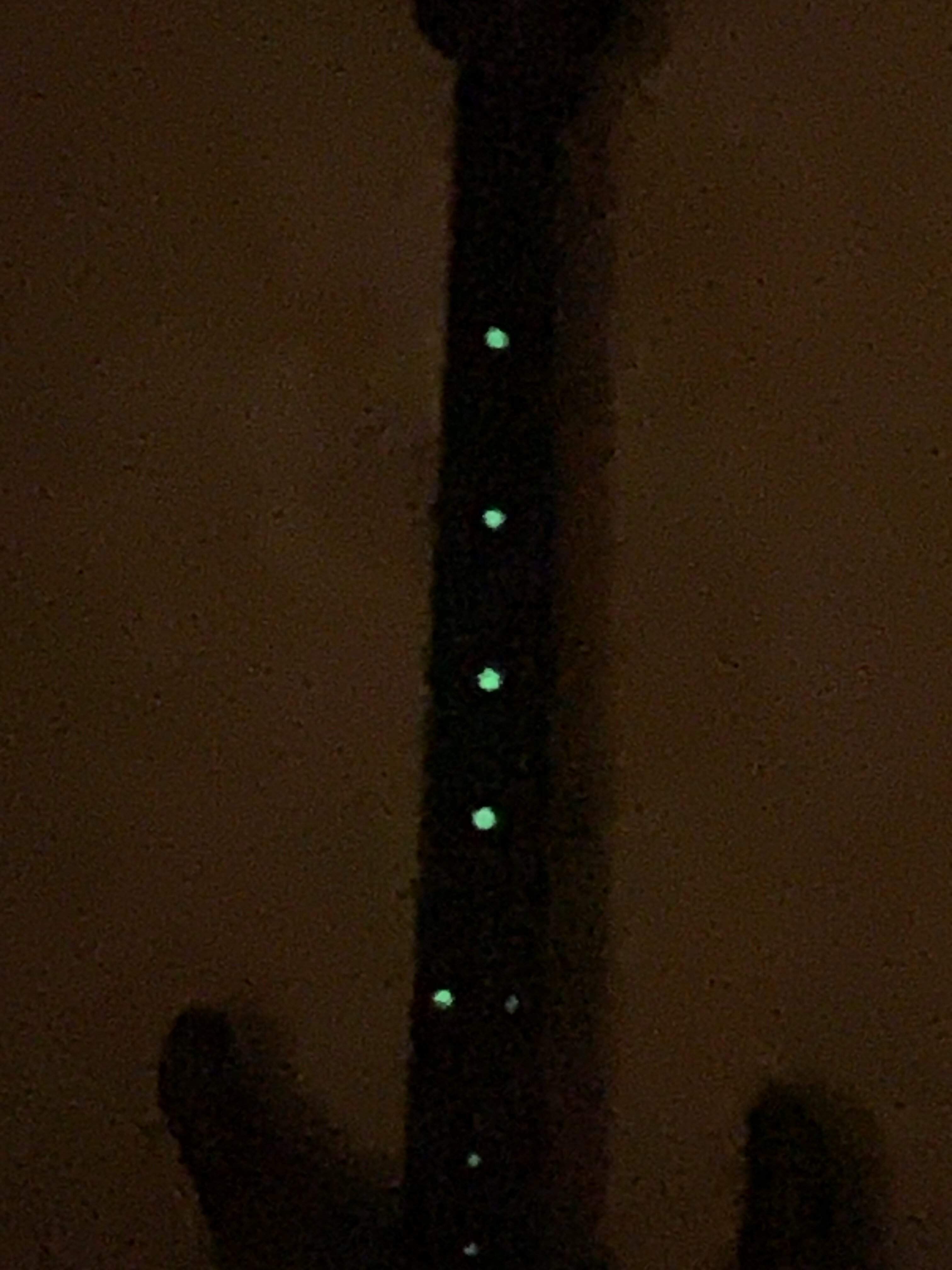 FE704FD7-8A61-45D4-A81F-6EDF98B8A2F9.jpeg