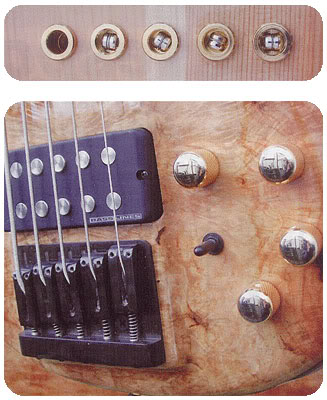 feb2002bassv08.jpg