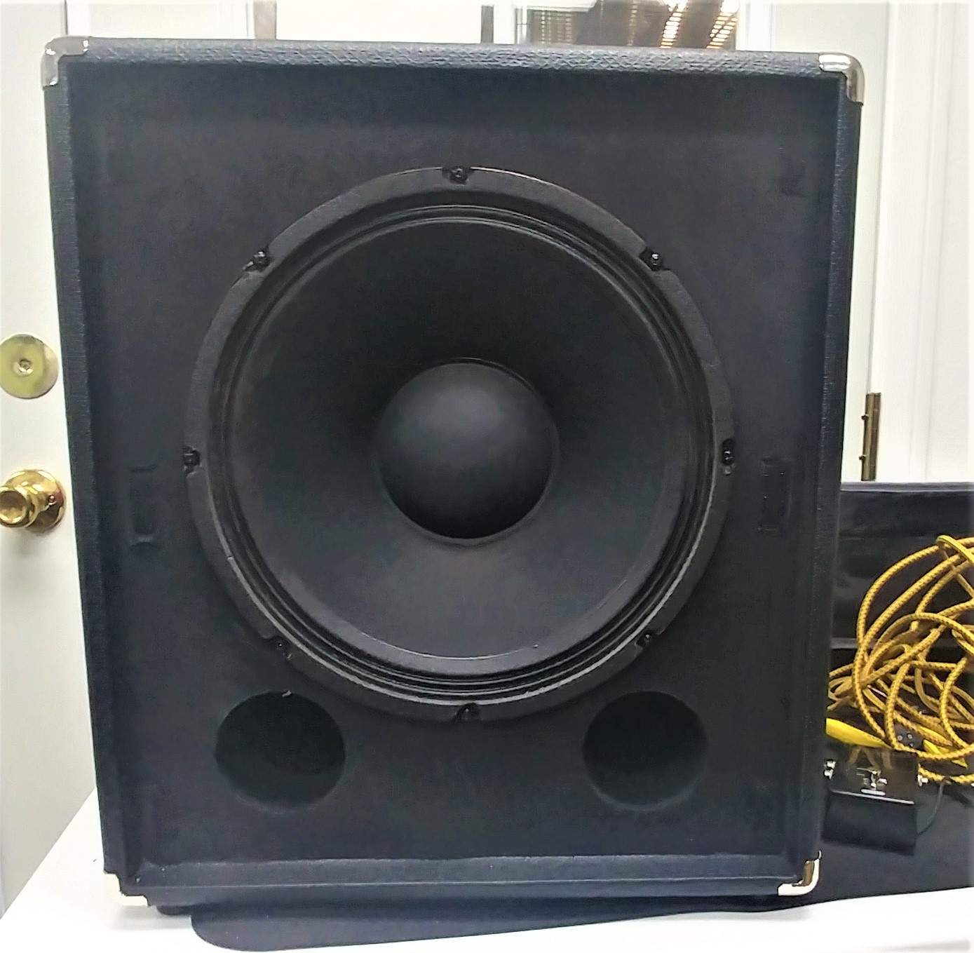 Fender 100v3- Beta 12 Woofer .jpg