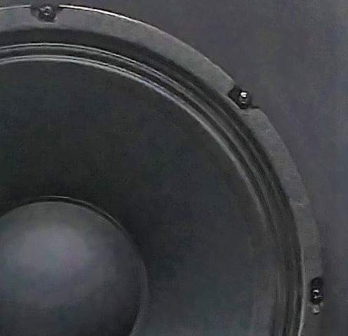 Fender 100v3- Beta 12 Woofer .jpg