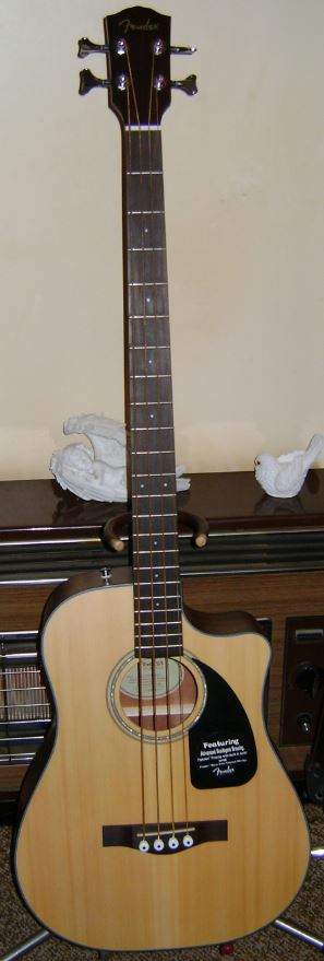 Fender Acoustic 1.JPG