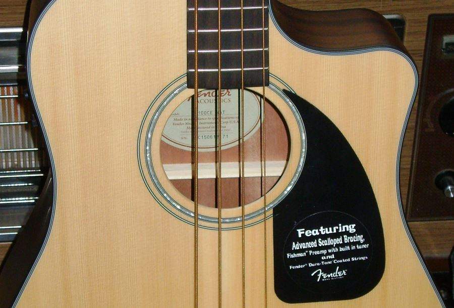 FENDER ACOUSTIC 3.JPG