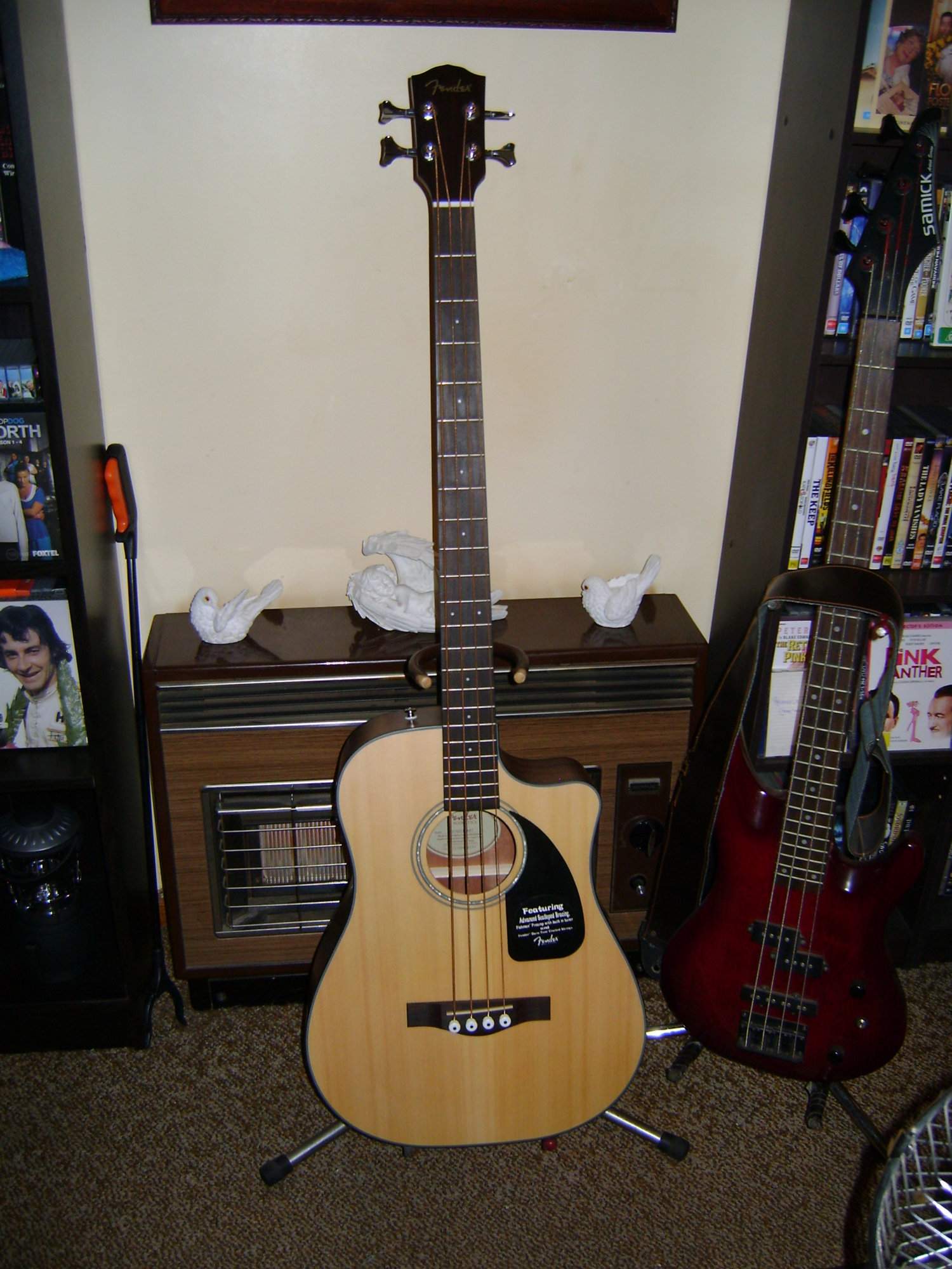 Fender Acoustic.JPG
