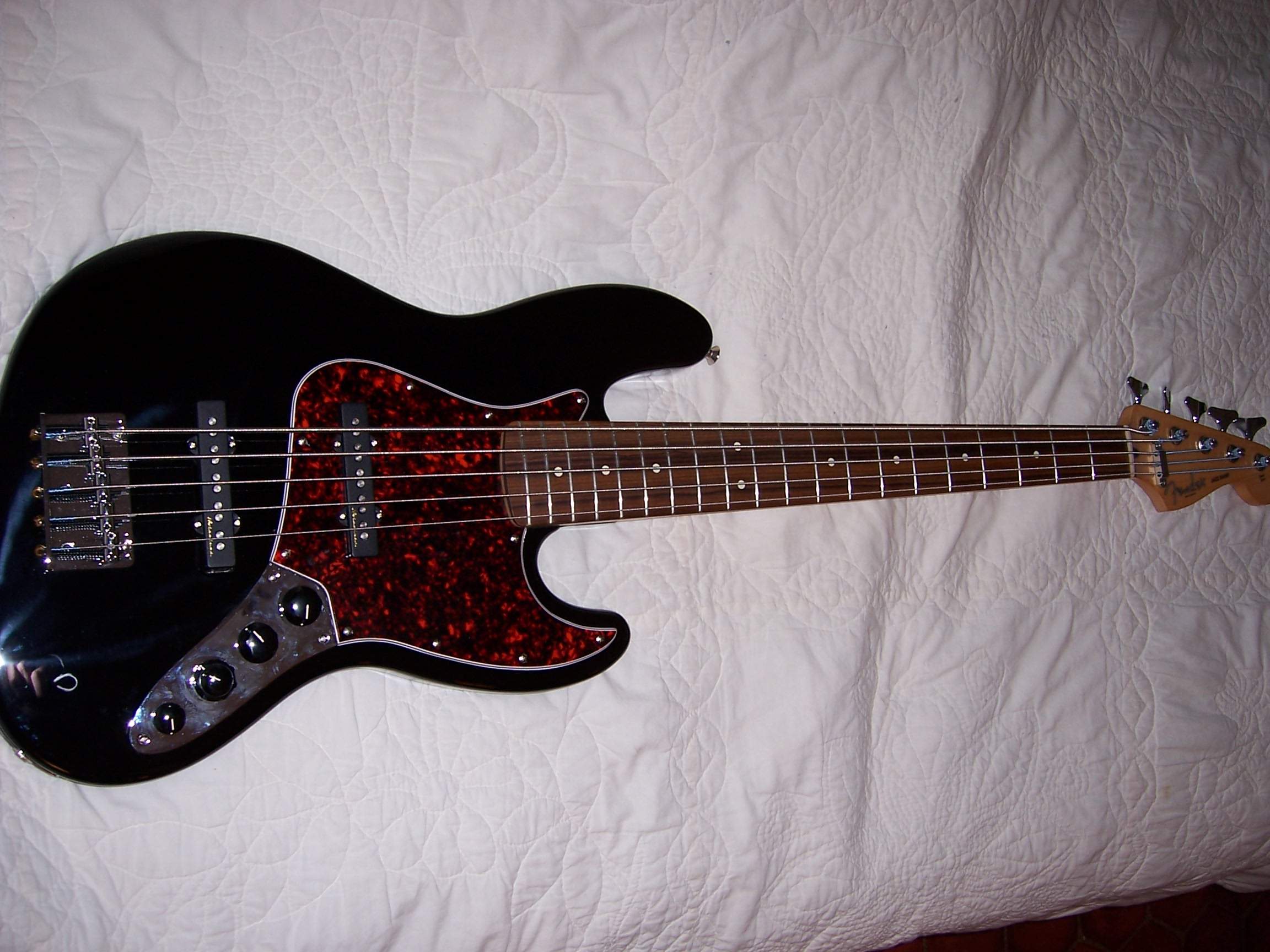 Fender Front.jpg