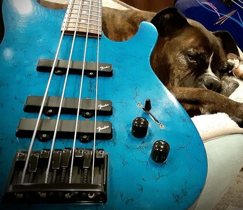 Fender HM & Dooley.jpg