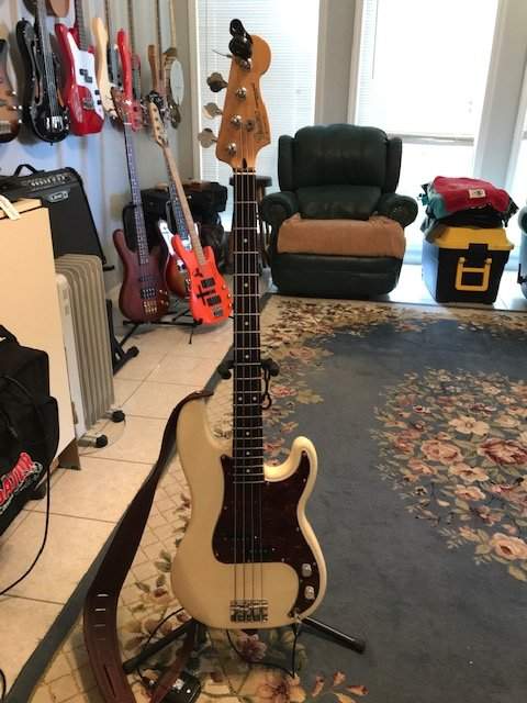 Fender P Bass 3.JPG