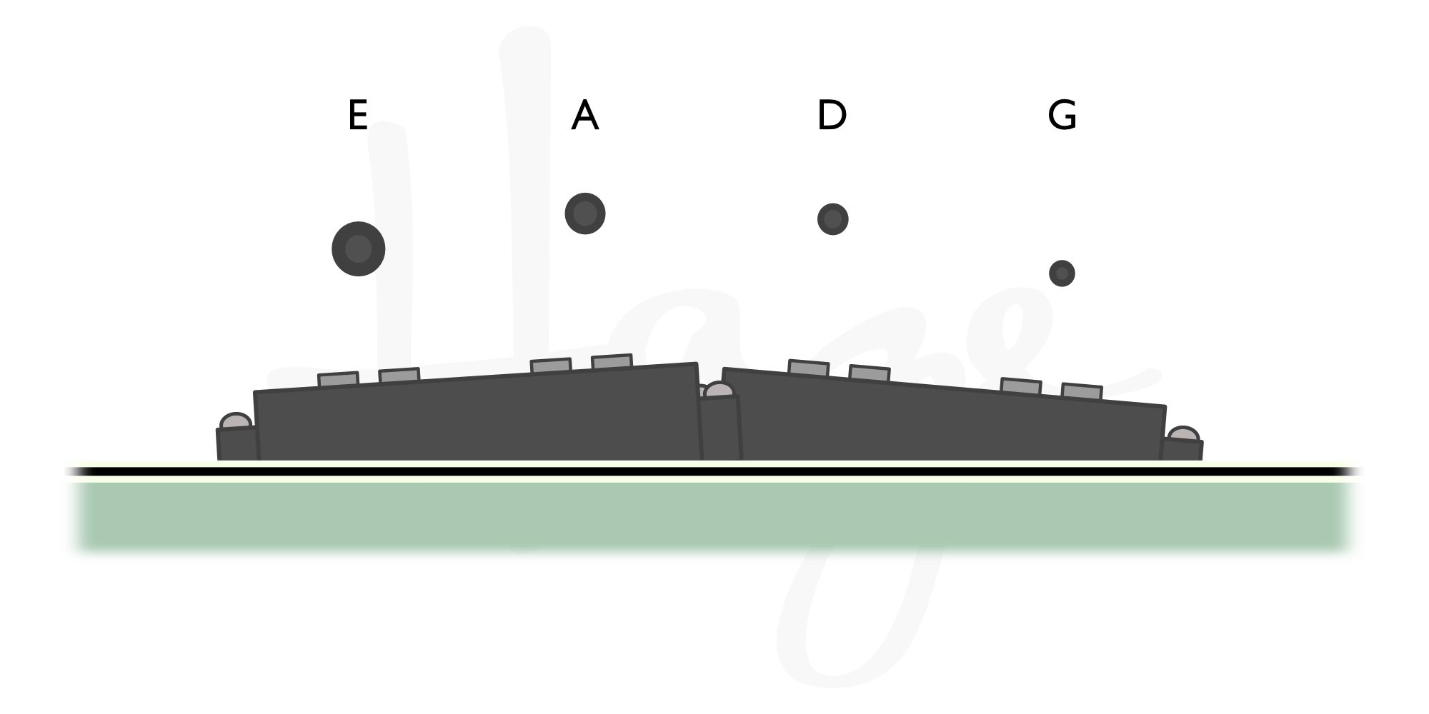 Fender+P-Bass+Pickup+Adjustment.png