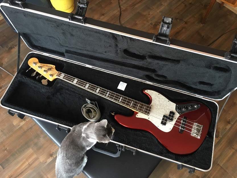 Fender PJ bass.jpg