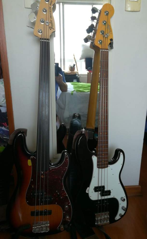 Fender Precision basses.jpg