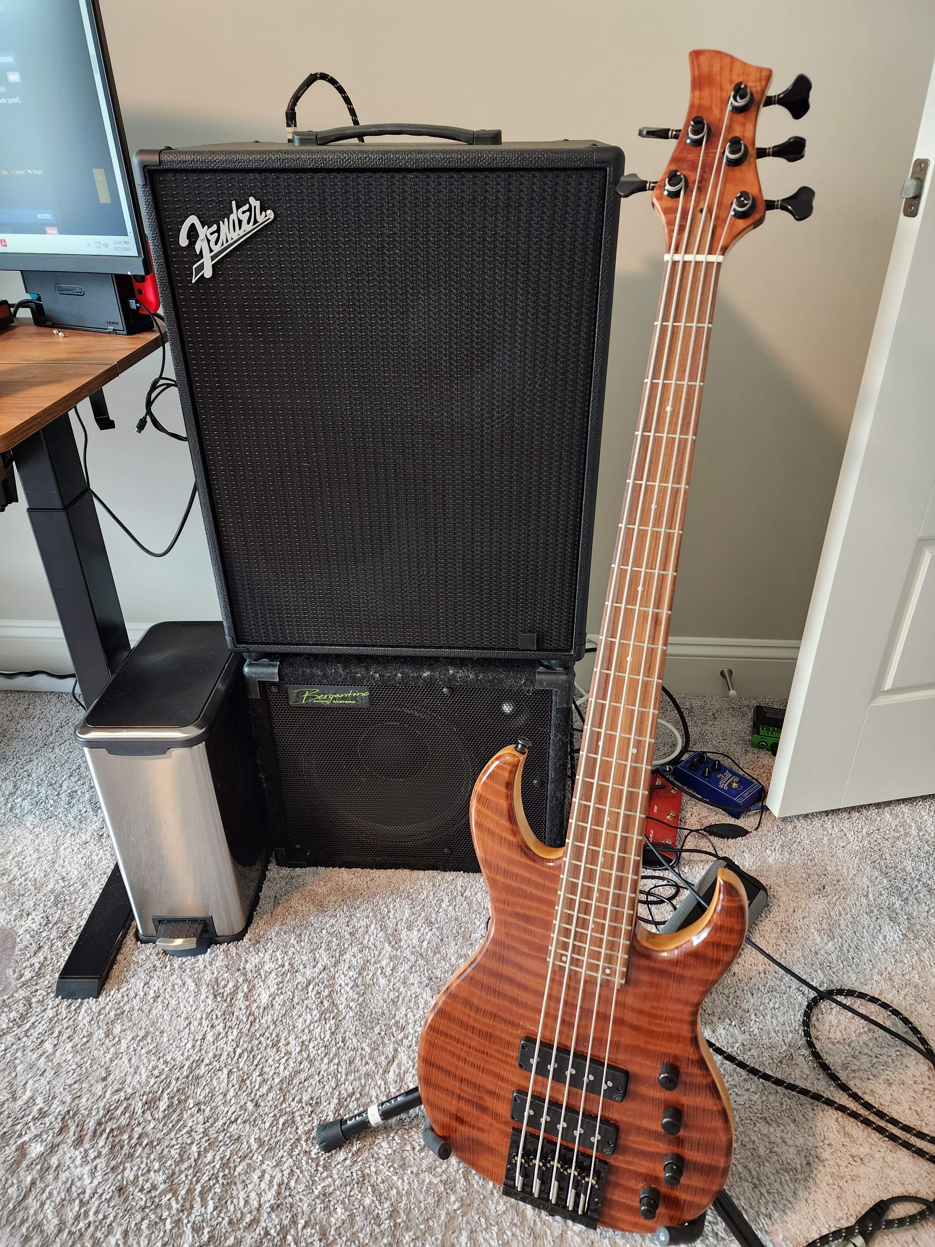 Fender Rumble Stage 800.jpg