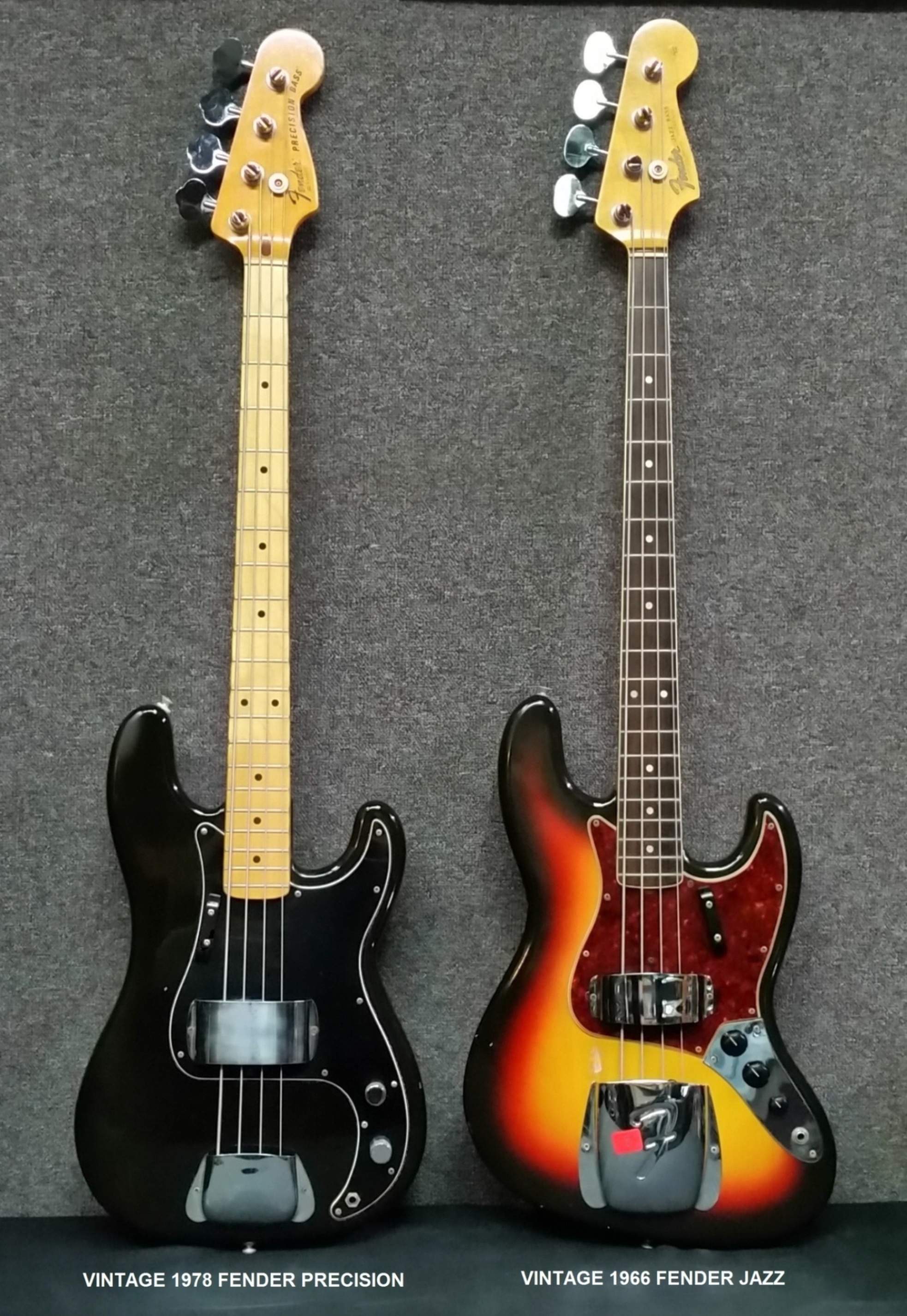 FENDER TEXT.jpg