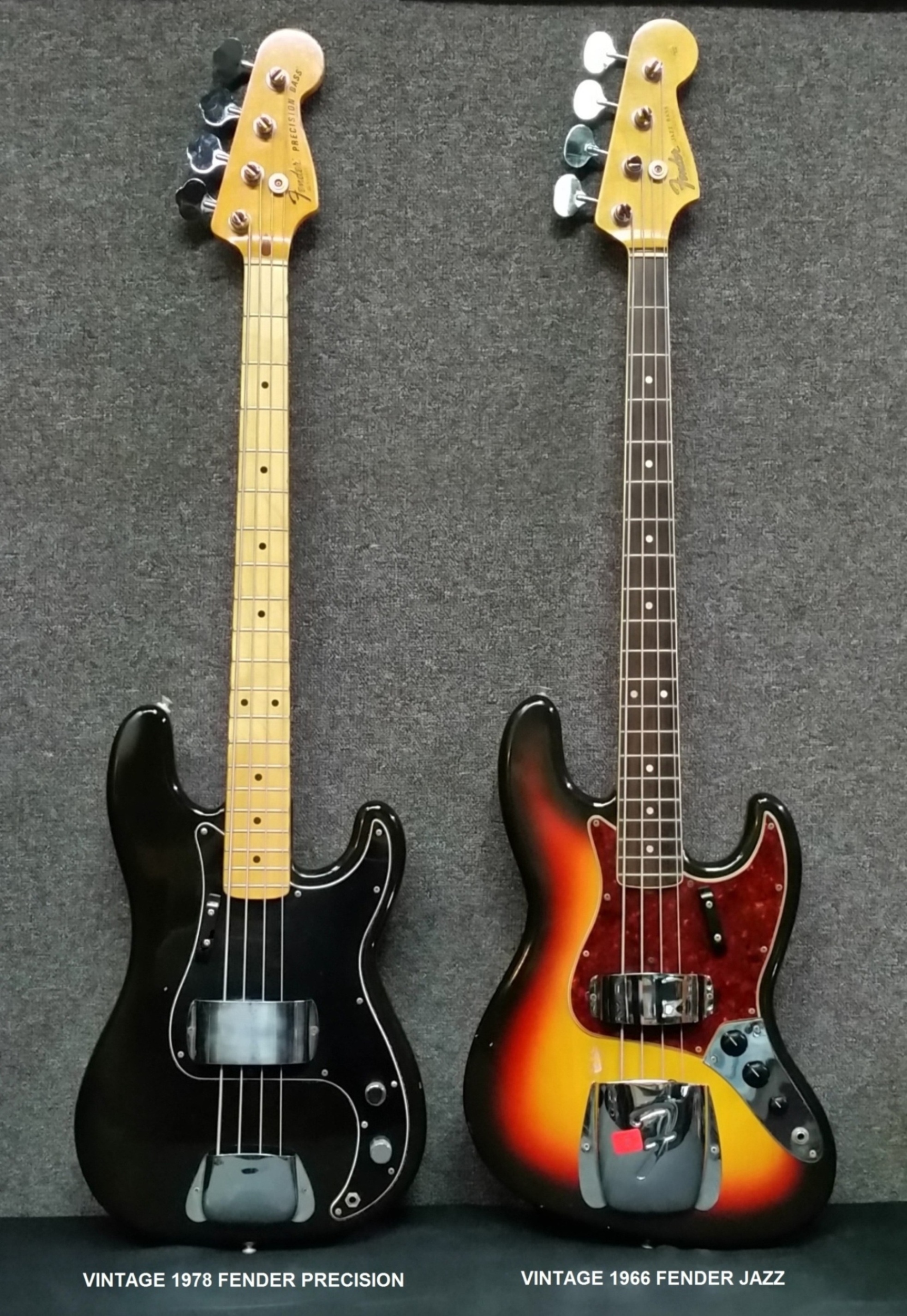 FENDER TEXT.jpg
