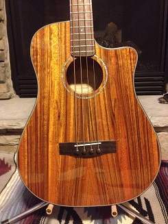 Fender VB_NAT front.JPG