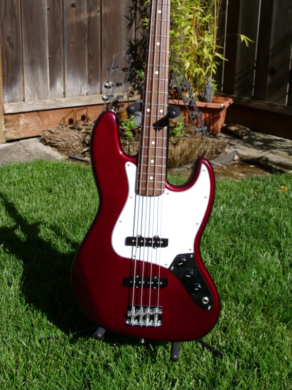 Fender01d.jpg