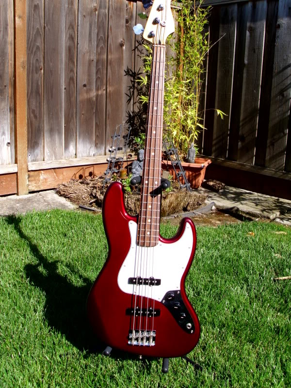 Fender01e.jpg