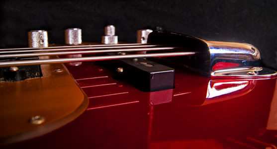fender1.jpg