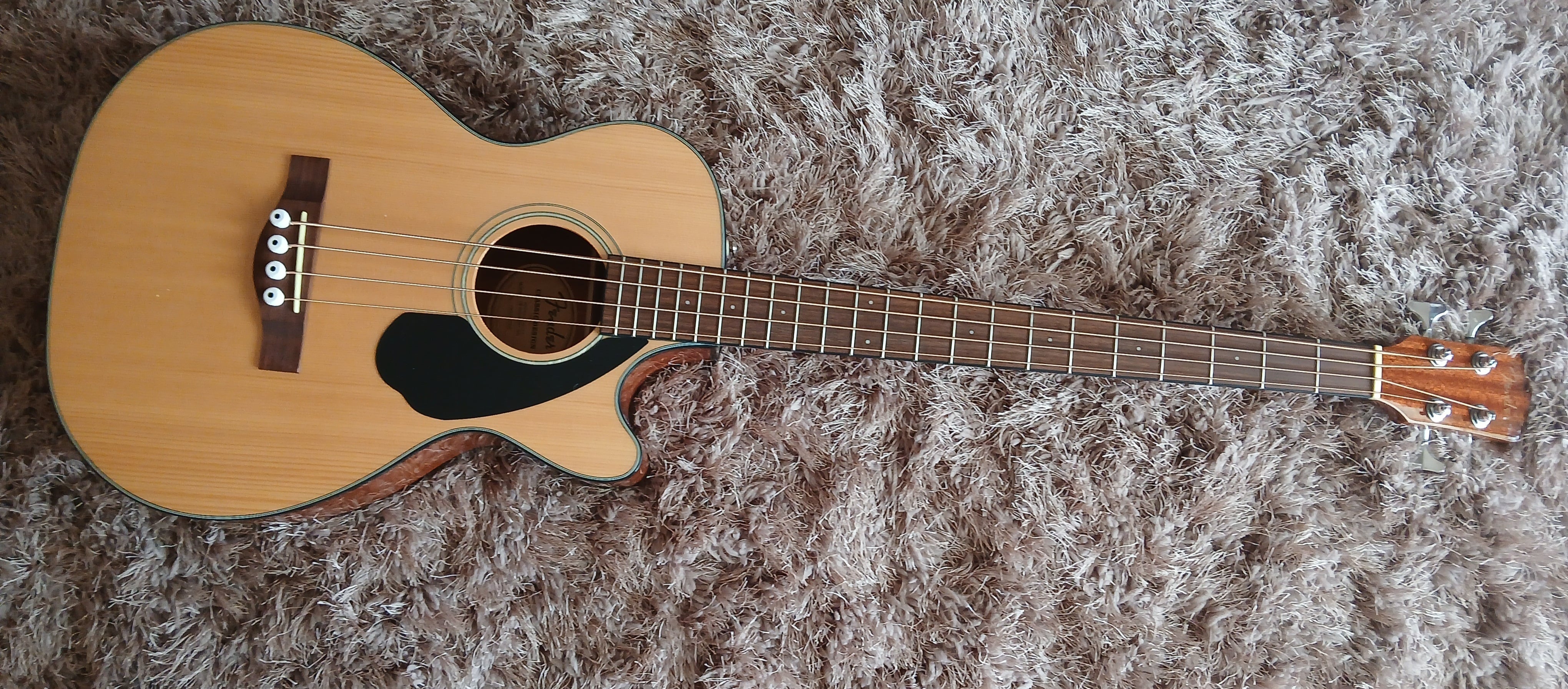 Fender2 (2).jpg