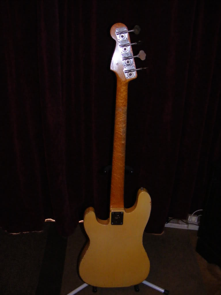 Fender2.jpg