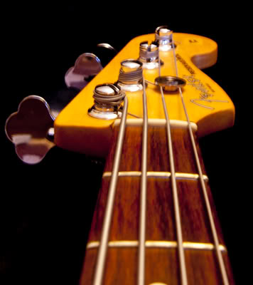 fender4.jpg
