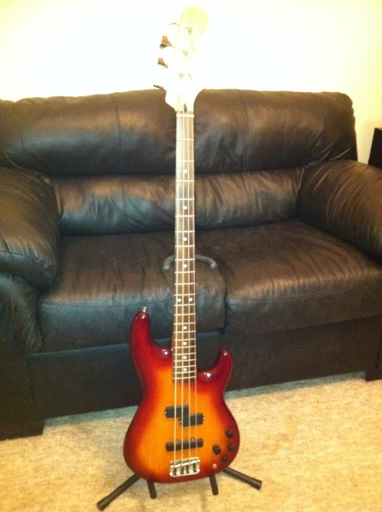 Fender5.jpg