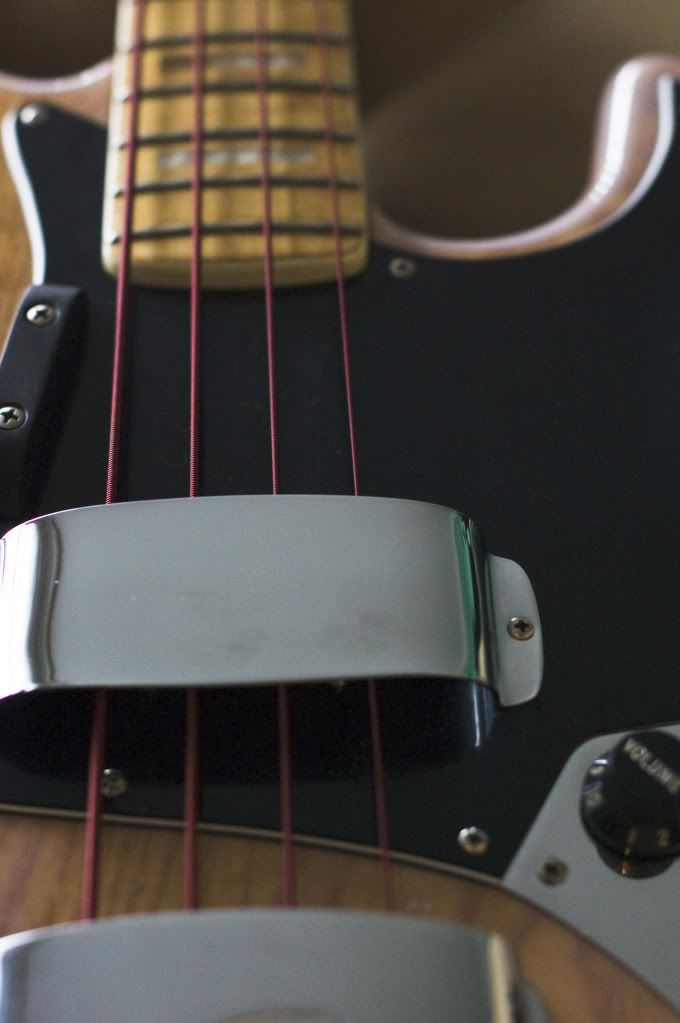 Fender7902.jpg