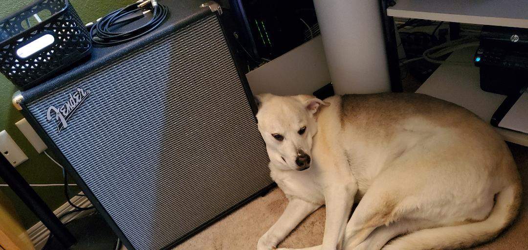 fender_chloe.jpg