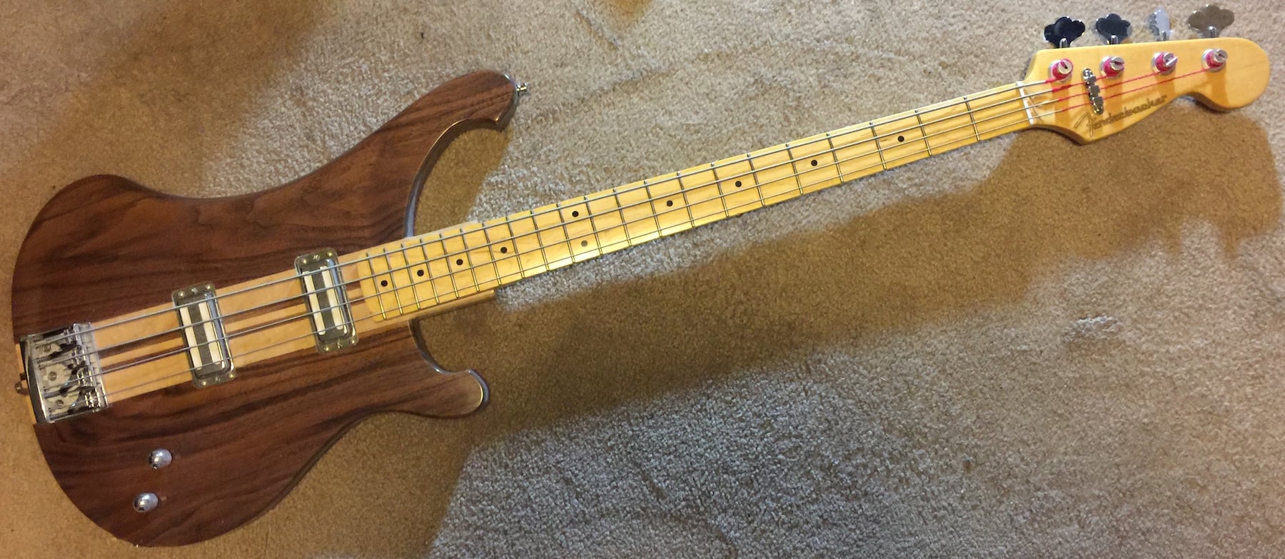 fenderbacker copy.jpg
