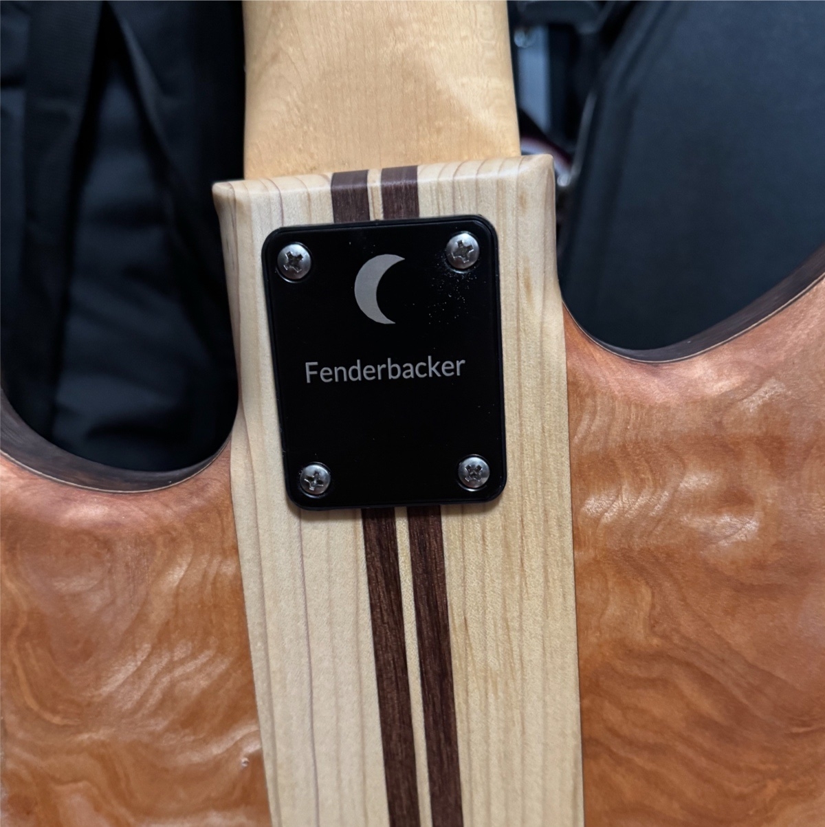 fenderbacker.jpg